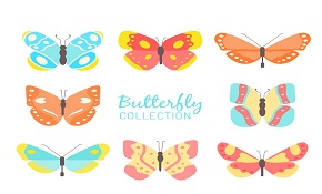 8 color butterfly design vector mat